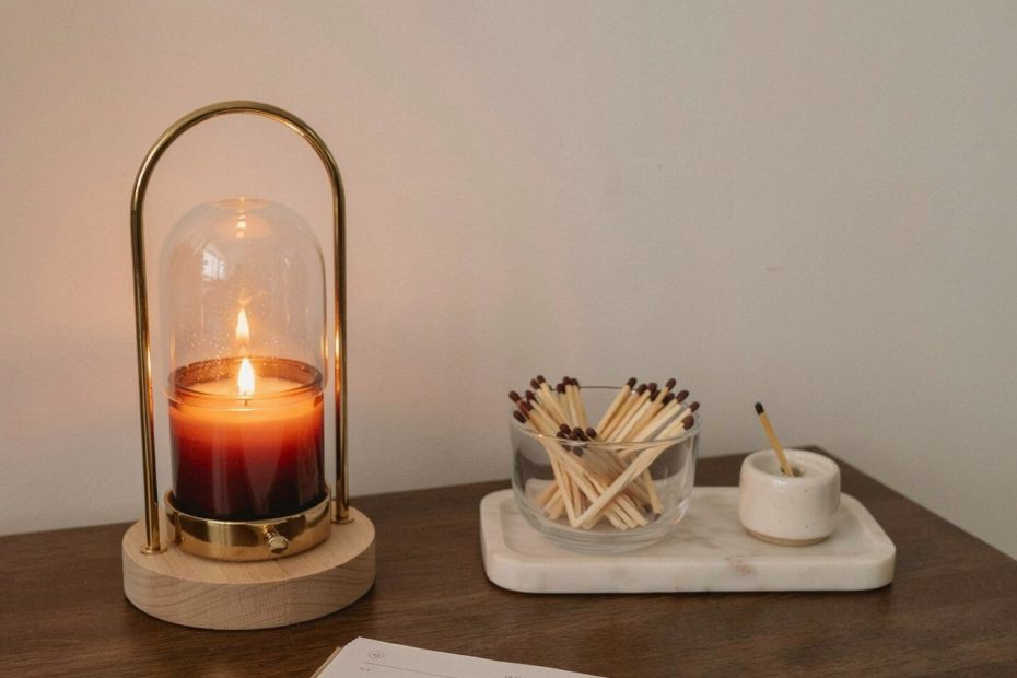 Moisture Absorbing Shower Plants | 19 Best for Humid Bathrooms | Decor Ideas