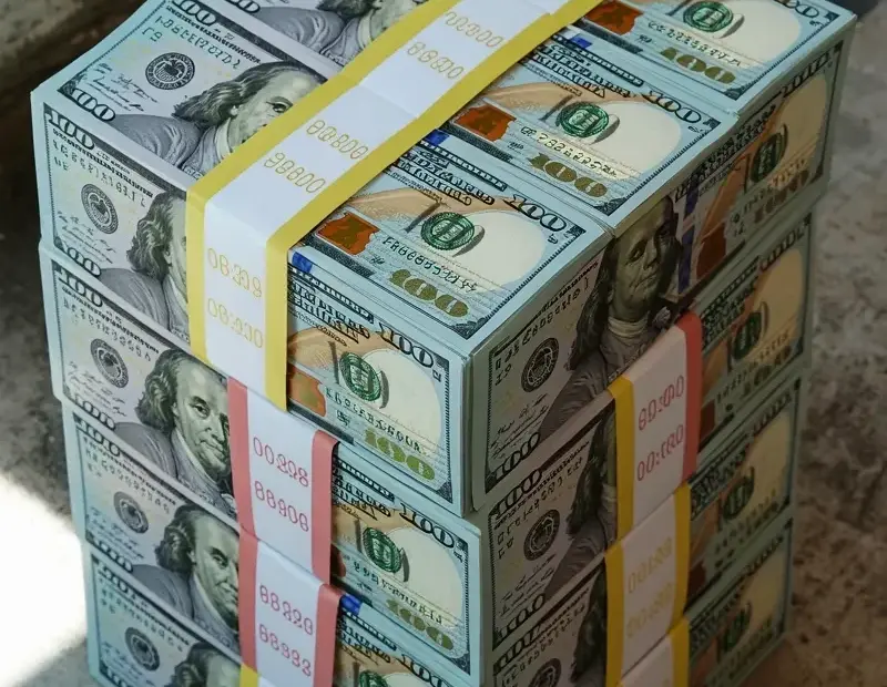 Cash Stuffing Mistake: Loose Bills Ruin Your Savings Goals | Organized Cash Stacks